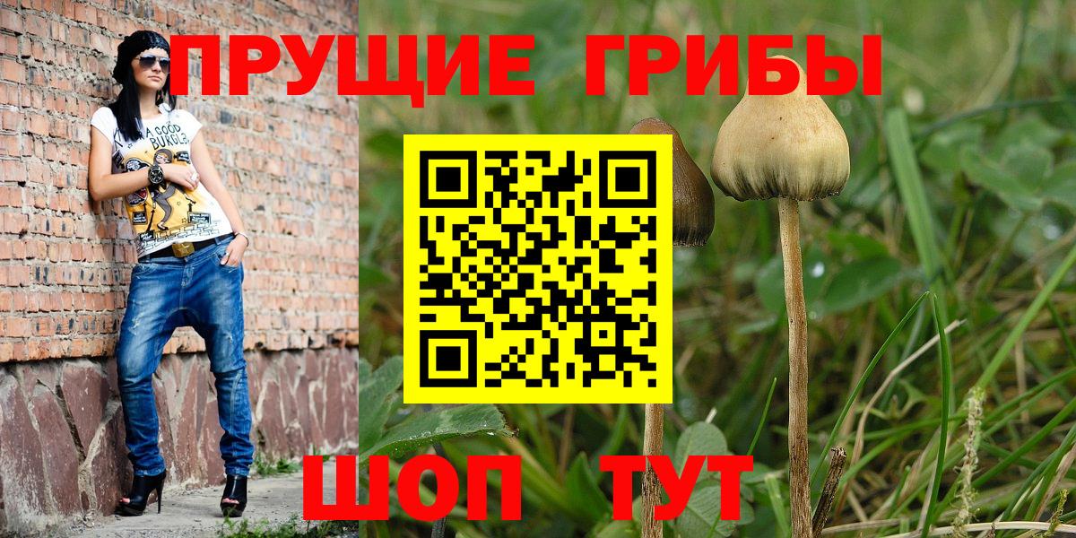 Десногорск  Псилоцибиновые грибы MAGIC MUSHROOMS  Вход с VPN 